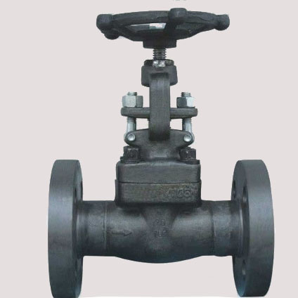 Flanged End Globe Valve | Cixi Fly Pipe Equipment Co.,Ltd