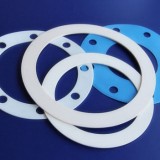 PTFE Gasket