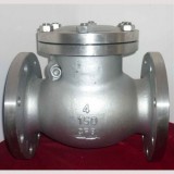 DIN Swing check valve