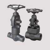 API Forged steel globe valve