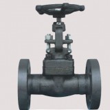 Flanged End Globe Valve